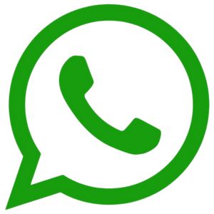 whatsapp dinkes Kabupaten Lombok Timur